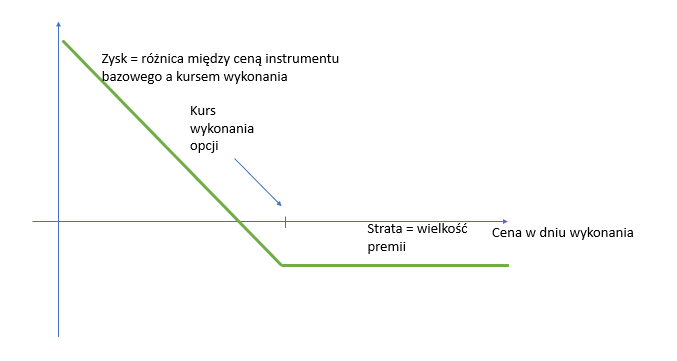 możliwy zysk nabywcy opcji sprzedaży 