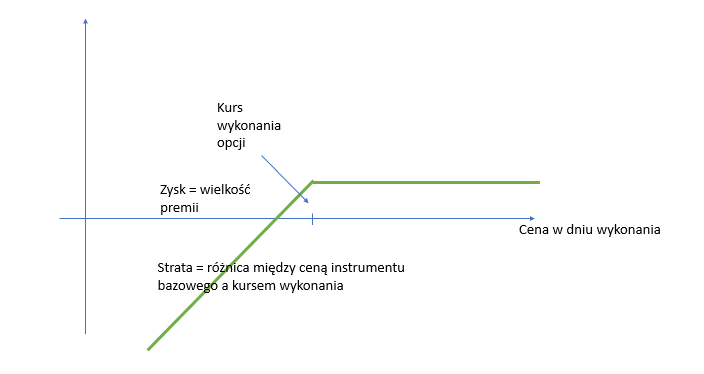 profil zyskowności opcji sprzedaży